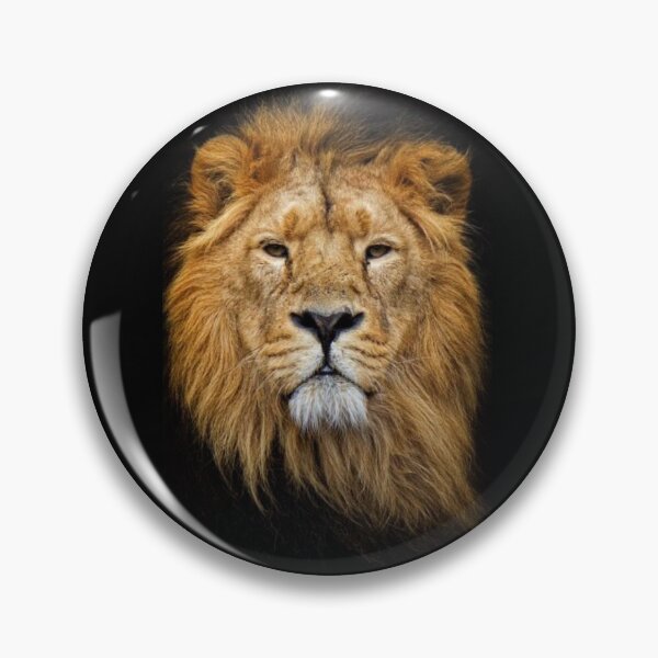 Item preview, Old Proud Lion designed and sold by Maddie4Real.