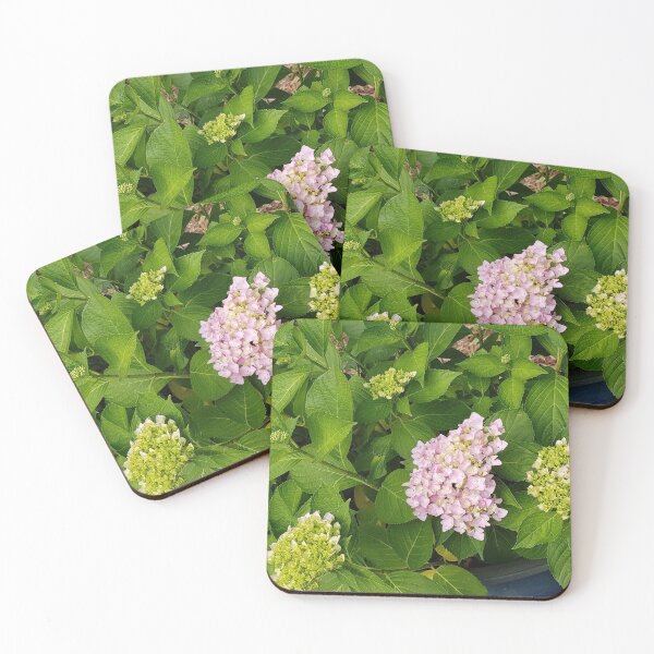 Item preview, Hydrangea designed and sold by sjkimphoto.