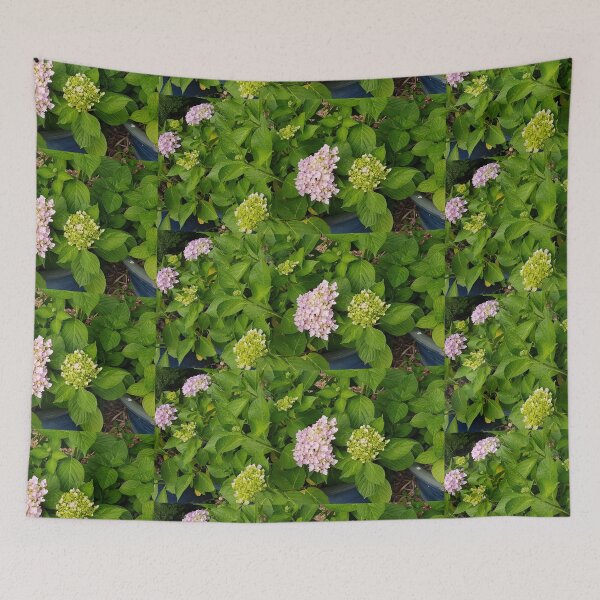 Item preview, Hydrangea designed and sold by sjkimphoto.