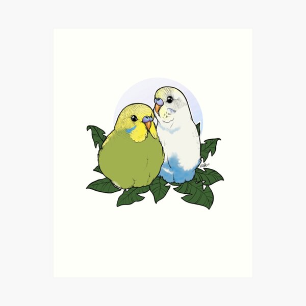 Budgie Brothers Art Print