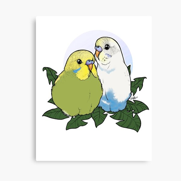 Budgie Brothers Canvas Print