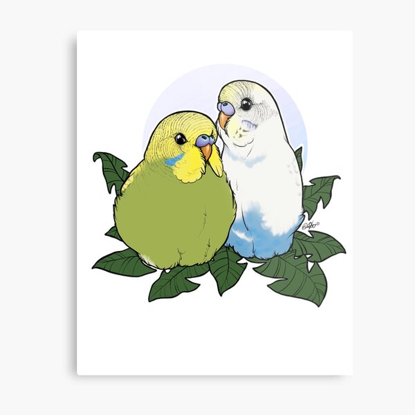 Budgie Brothers Metal Print