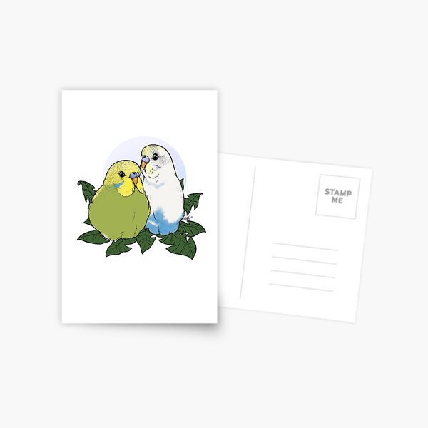 Budgie Brothers Postcard