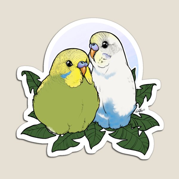 Budgie Brothers Magnet