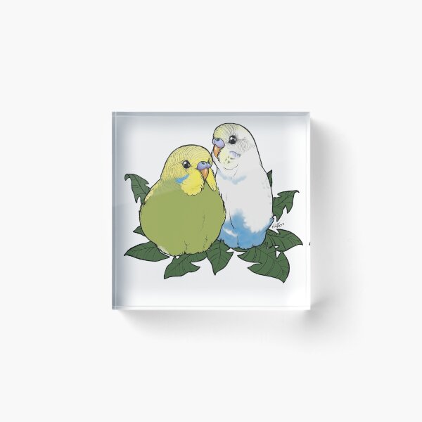 Budgie Brothers Acrylic Block