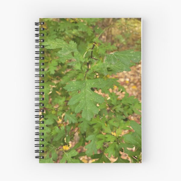 Item preview, Green Fall Leaves designed and sold by Djjin66.