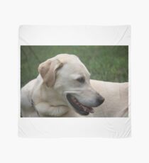 Yellow Lab Scarf
