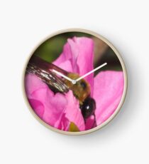 bumble bee Clock