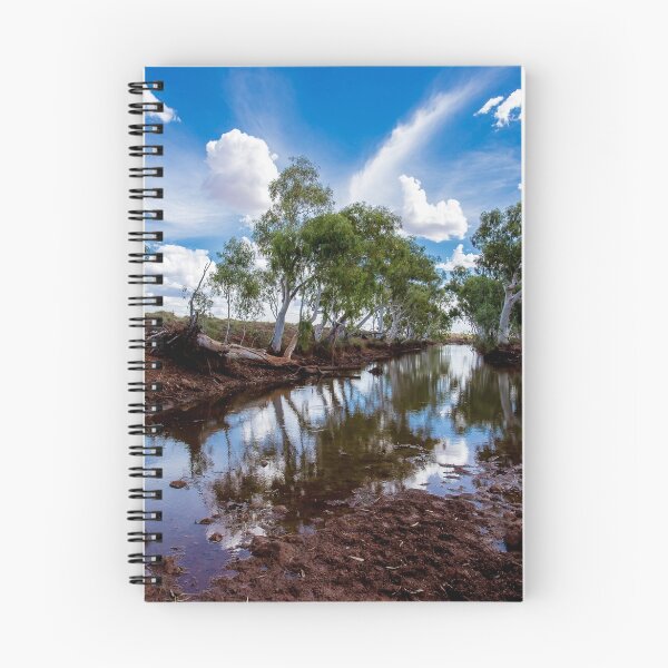 Item preview, Water hole in the Pilbara designed and sold by loza1976.