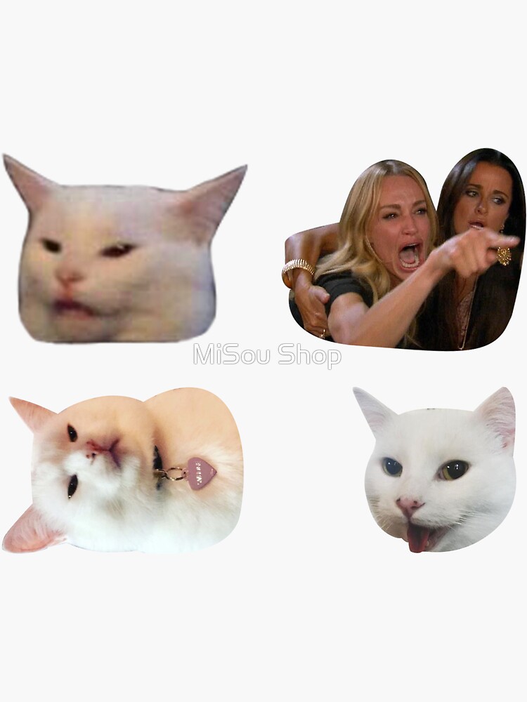 Salad Cat meme 3 Sticker, Smudge the Cat, Woman Yelling at Cat