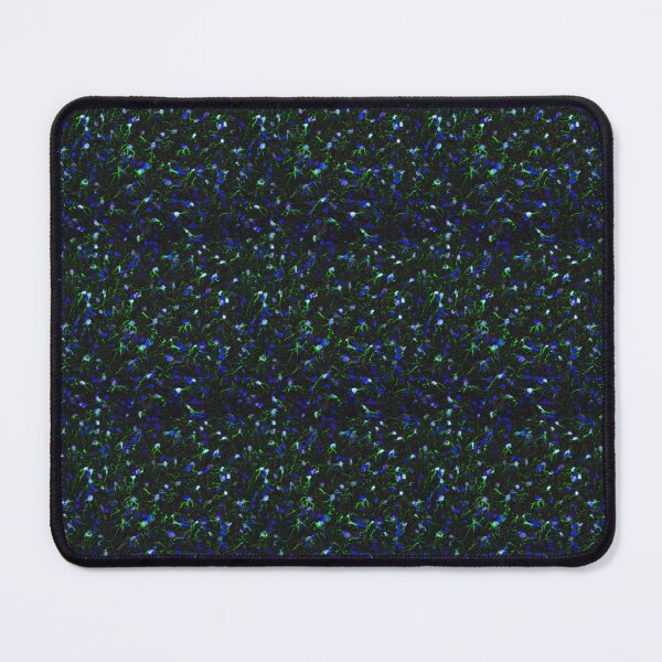 Item preview, Brain Cells SEZ1 PCNA GFAP SOX2 designed and sold by Green Star Shop.
