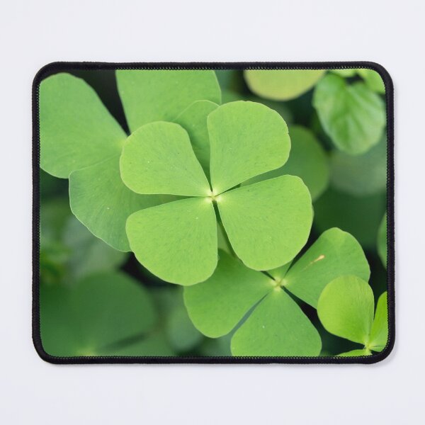 Item preview, Four Leaf Clover, Water Clover designed and sold by Maddie4Real.