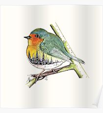 oiseau paysage Poster