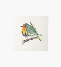 oiseau paysage Art Board