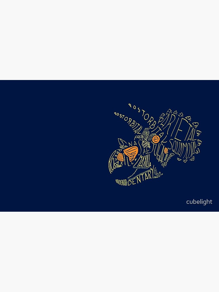 Analogous Colors Calligram Triceratops Skull by cubelight