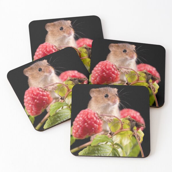Item preview, Found the stash  designed and sold by FXST.