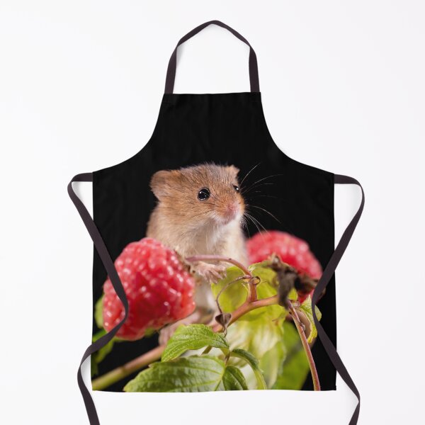 Item preview, Found the stash designed and sold by FXST.