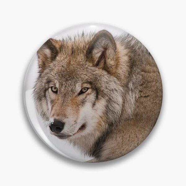 Item preview, Gray Wolf designed and sold by Michael Cummings.