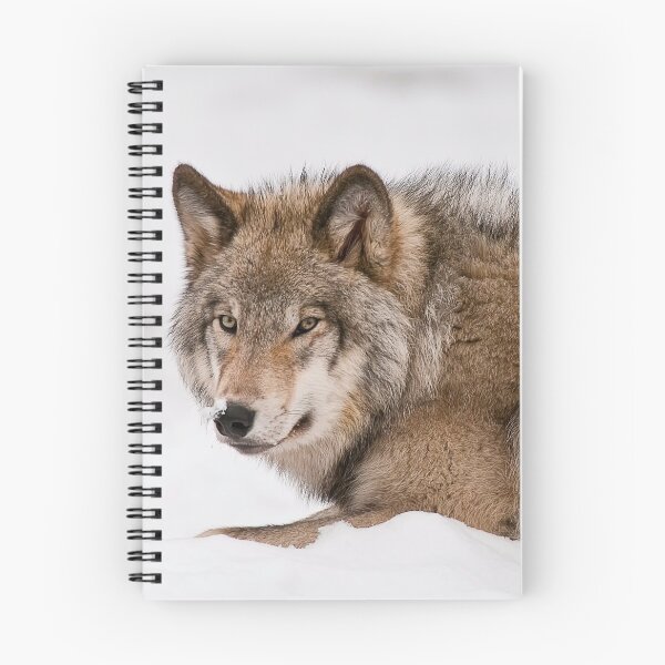 Item preview, Gray Wolf designed and sold by Michael Cummings.