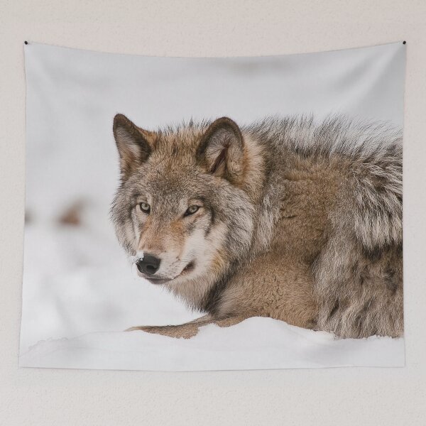 Item preview, Gray Wolf designed and sold by Michael Cummings.