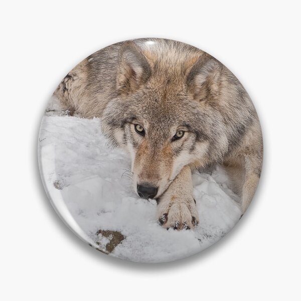 Artikelvorschau, Grauer Wolf entworfen und verkauft von Michael Cummings.