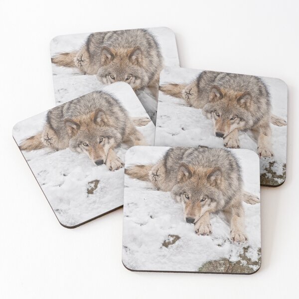 Item preview, Gray Wolf designed and sold by Michael Cummings.