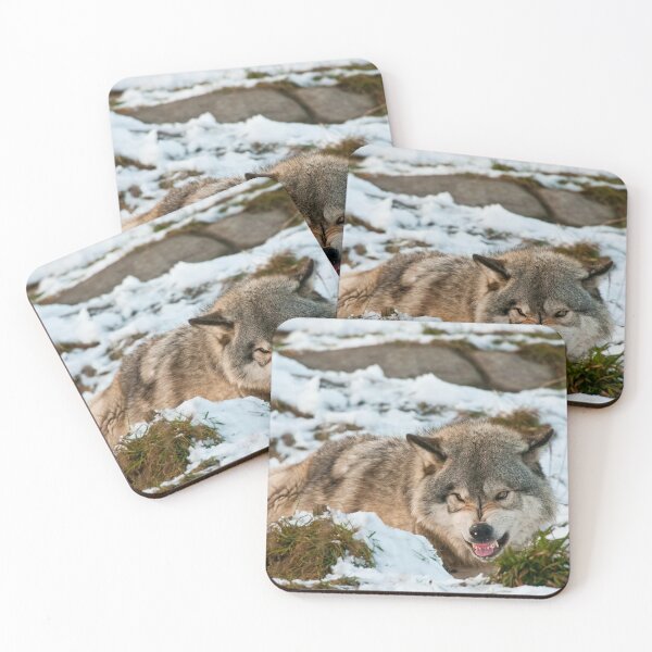 Item preview, Gray Wolf designed and sold by Michael Cummings.