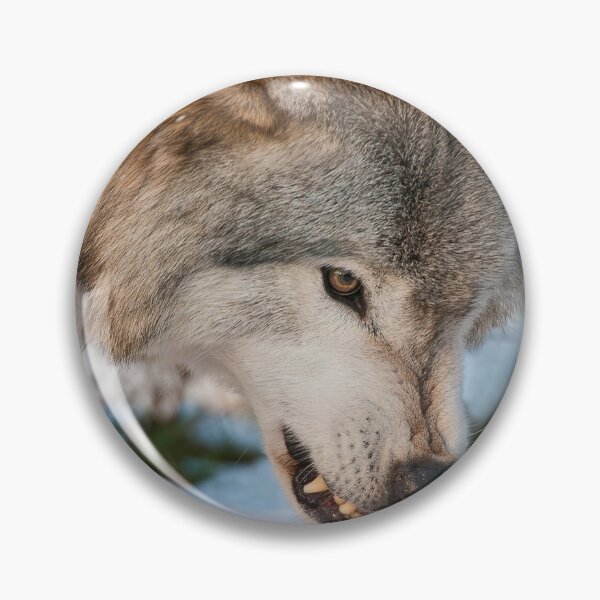 Artikelvorschau, Grauer Wolf entworfen und verkauft von Michael Cummings.