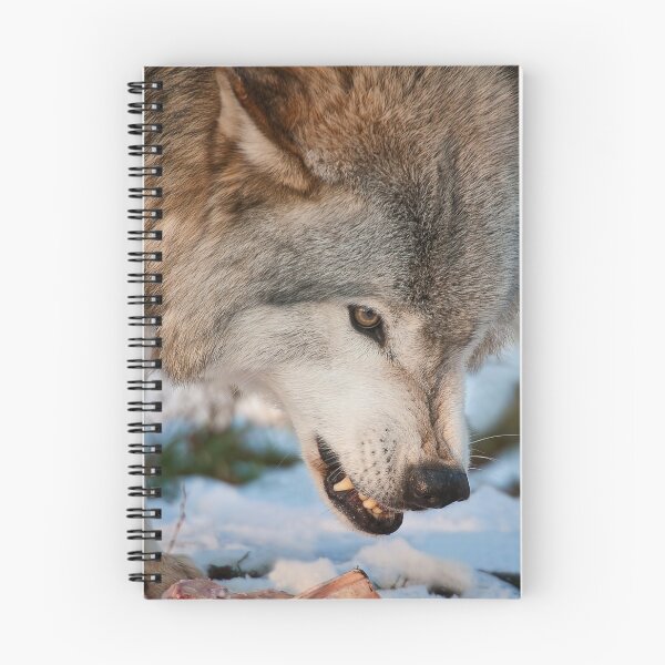 Item preview, Grey Wolf designed and sold by Michael Cummings.