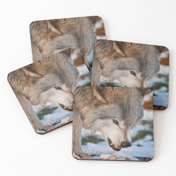 Item preview, Grey Wolf designed and sold by Michael Cummings.