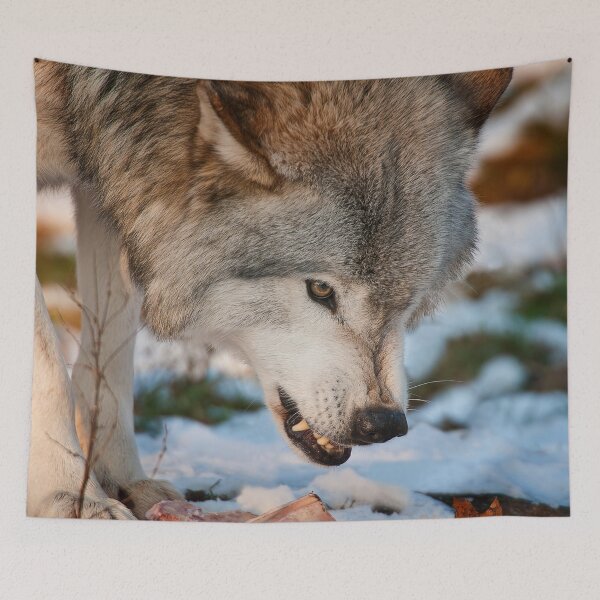 Item preview, Grey Wolf designed and sold by Michael Cummings.