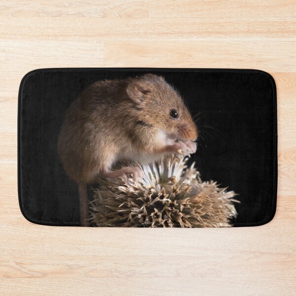 Item preview, Harvest Mouse designed and sold by FXST.