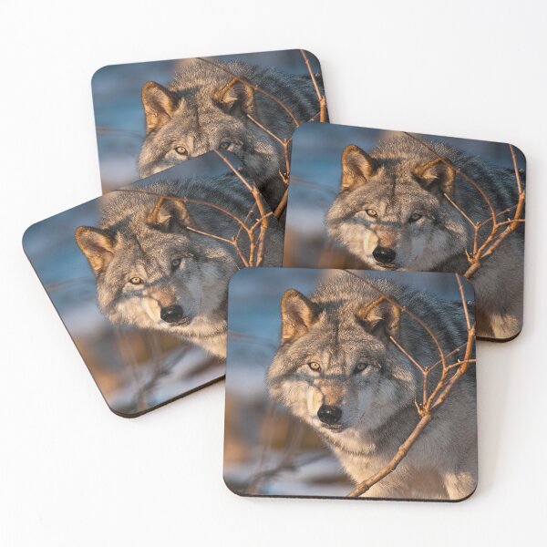Item preview, Grey Wolf designed and sold by Michael Cummings.