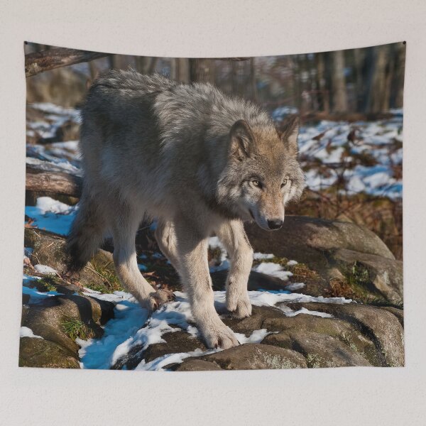 Item preview, Timber Wolf designed and sold by Michael Cummings.