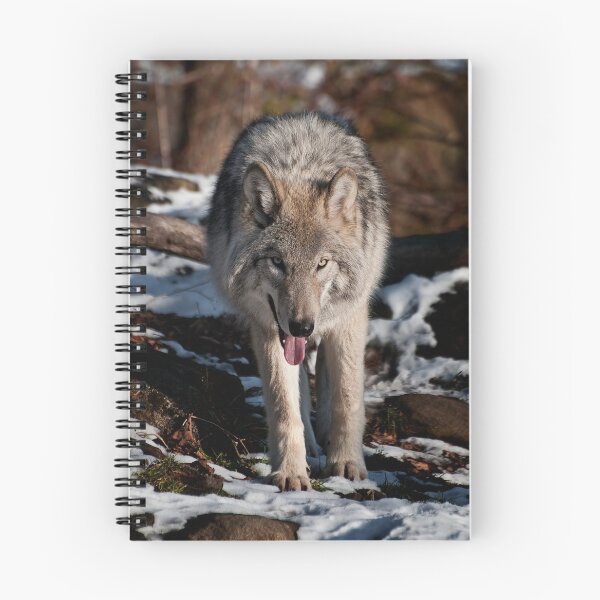 Item preview, Grey Wolf designed and sold by Michael Cummings.