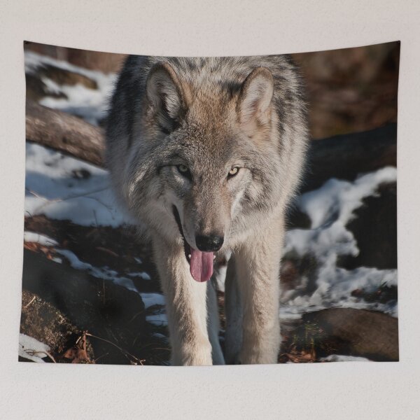 Item preview, Grey Wolf designed and sold by Michael Cummings.
