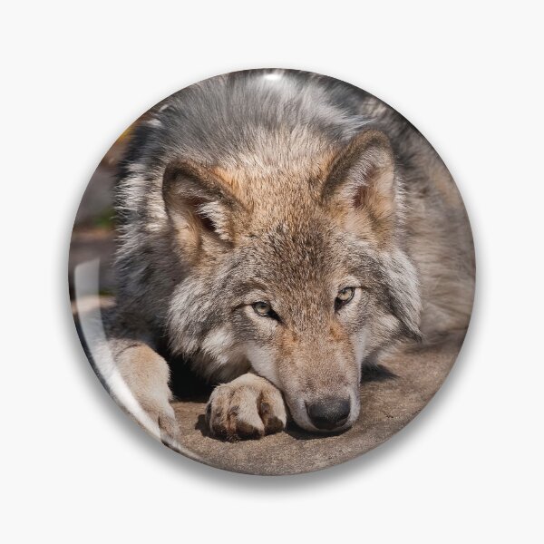 Item preview, Gray Wolf designed and sold by Michael Cummings.