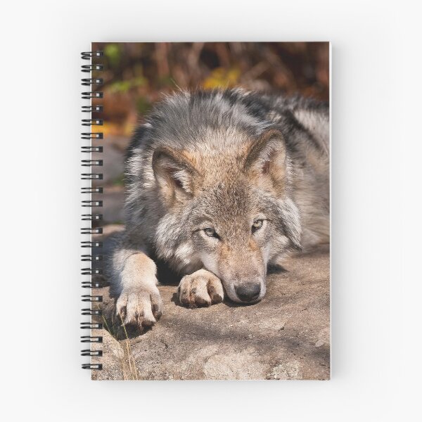 Artikelvorschau, Grauer Wolf entworfen und verkauft von Michael Cummings.