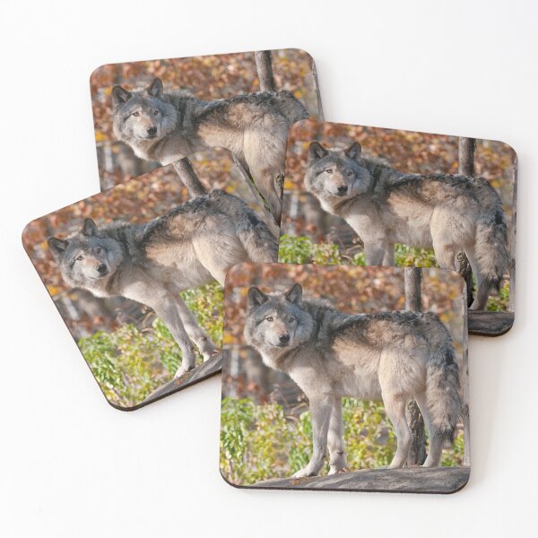 Item preview, Timber Wolf designed and sold by Michael Cummings.