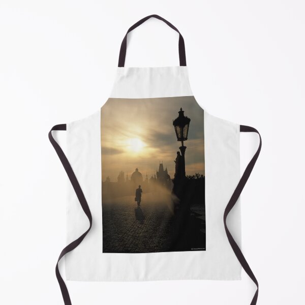 Item preview, Prague Charles IV Bridge Colour designed and sold by dunxs.