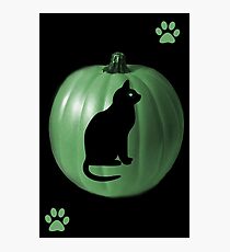 â•∩╮( º.º )â•∩╮GREEN PUMPKIN & CAT-PAW PRINTS -BLANK CARD / PICTURE SERIES ONEâ•∩╮( º.º )â•∩╮ Photographic Print