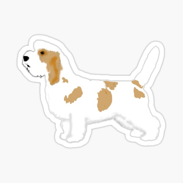 Petit Basset Griffon Vendeen Gifts & Merchandise For Sale | Redbubble