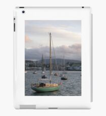 Dublin Bay iPad Case/Skin