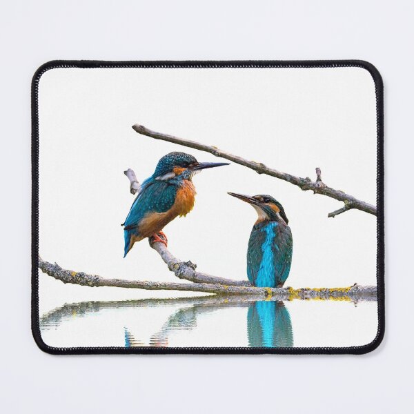 Item preview, Kingfishers designed and sold by Guy Christophe Tixier.