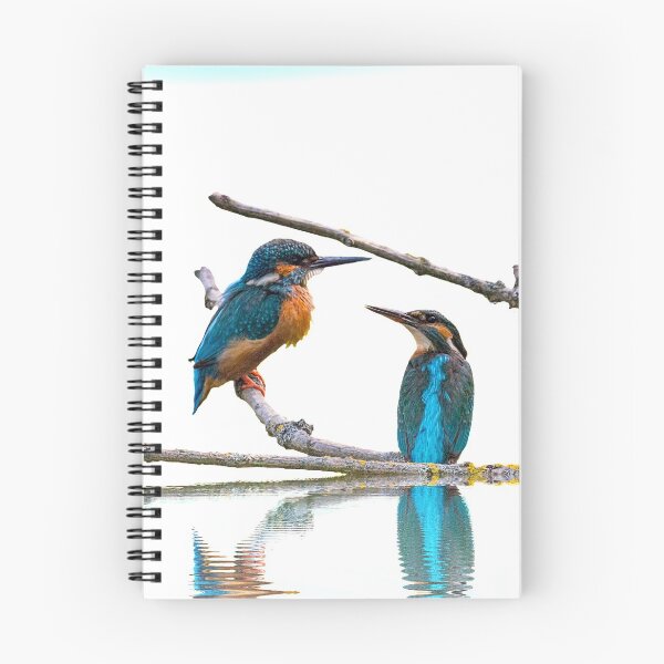 Item preview, Kingfishers  designed and sold by Guy Christophe Tixier.