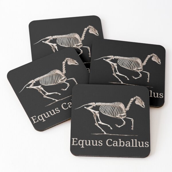 Item preview, Copy of Horse Equine skeleton - Veterinarian vet nurse designed and sold by HaychGee.