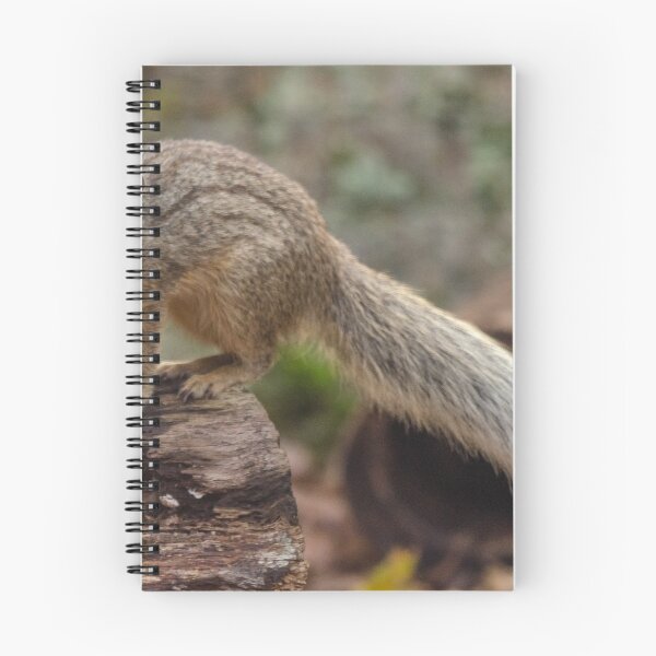 Item preview, Bokiboky posing long tail designed and sold by photosbygemmad.