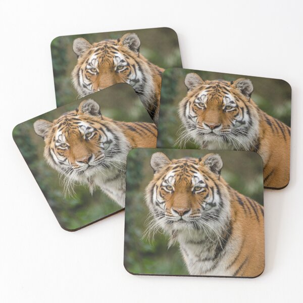 Item preview, Amur tiger portrait designed and sold by photosbygemmad.