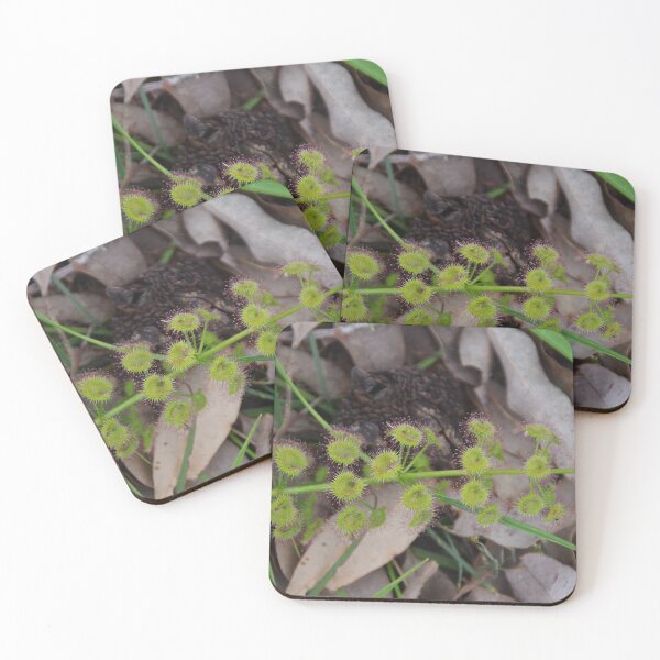 Item preview, Green Sundew designed and sold by lezvee.