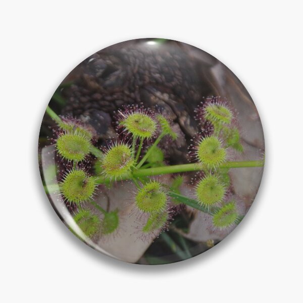 Item preview, Green Sundew designed and sold by lezvee.